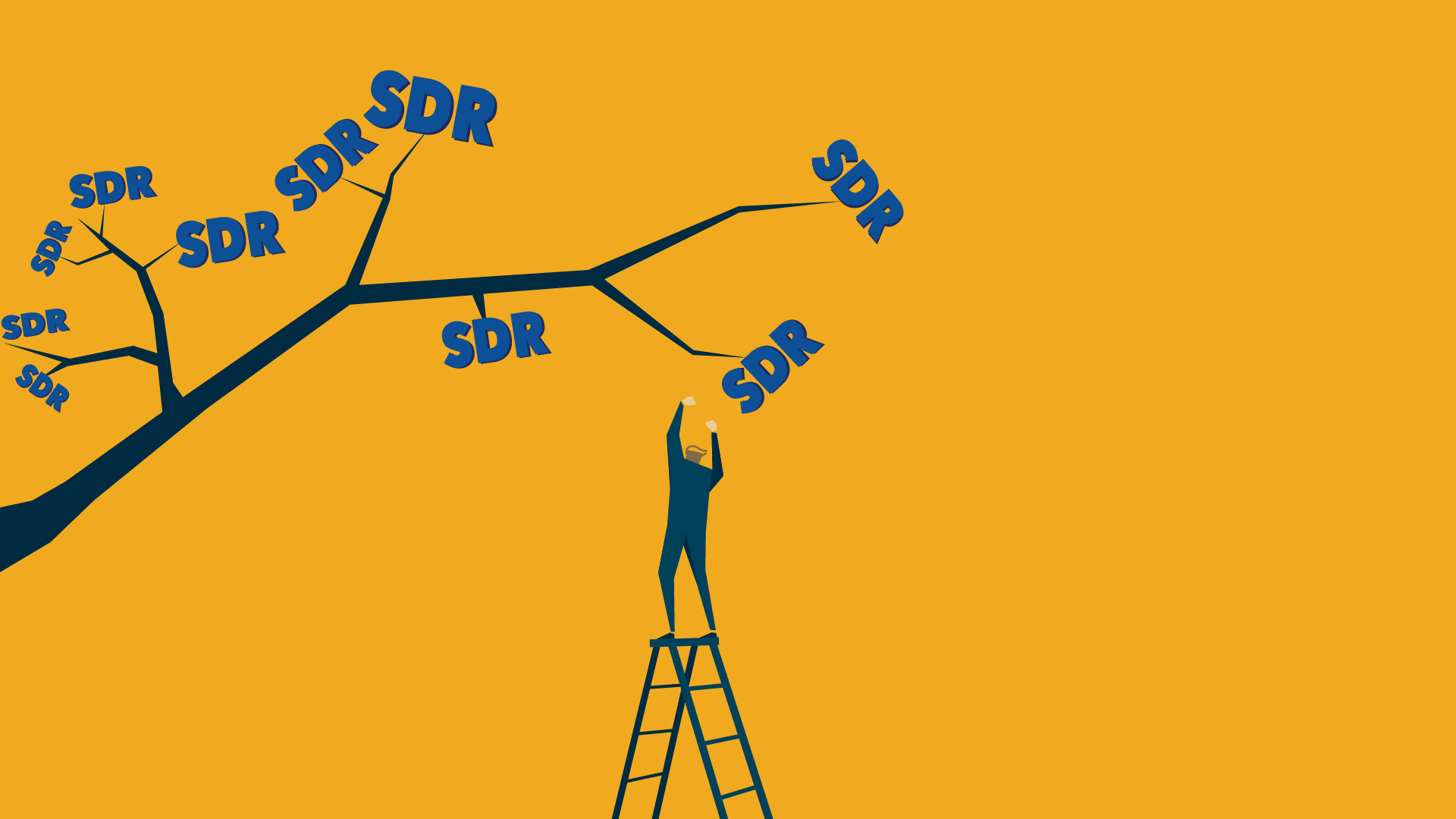 SDR allocation