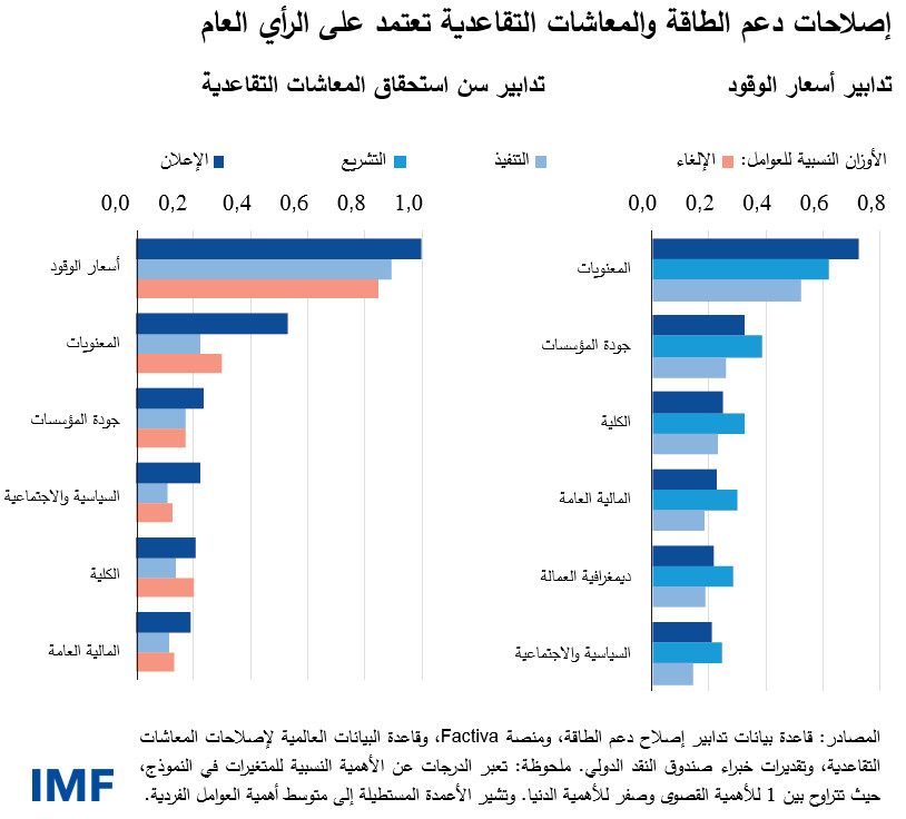 إصلاحات دعم الطاقة والمعاشات التقاعدية تعتمد على الرأي العام