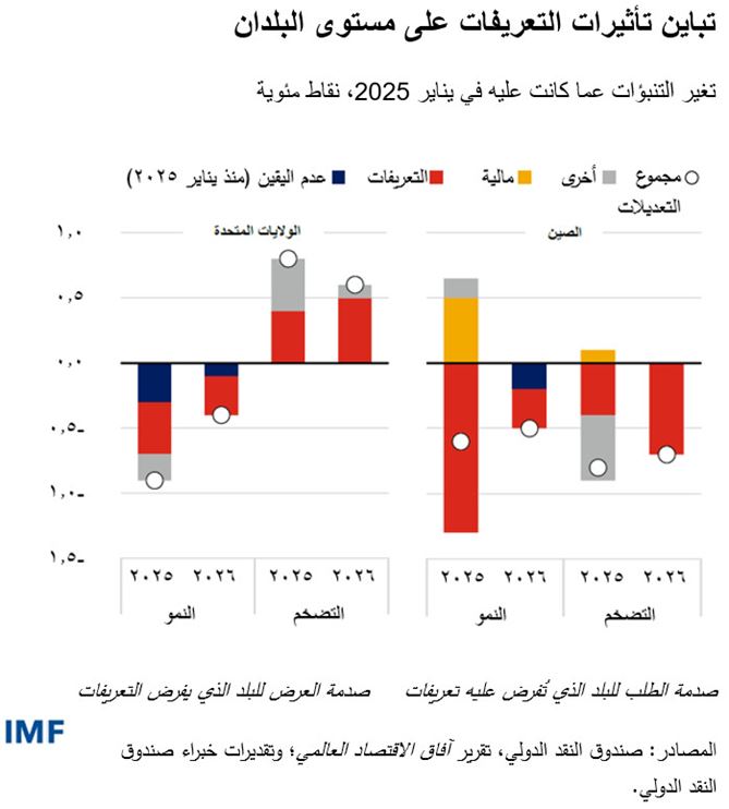 تباين تأثيرات التعريفات على مستوى البلدان