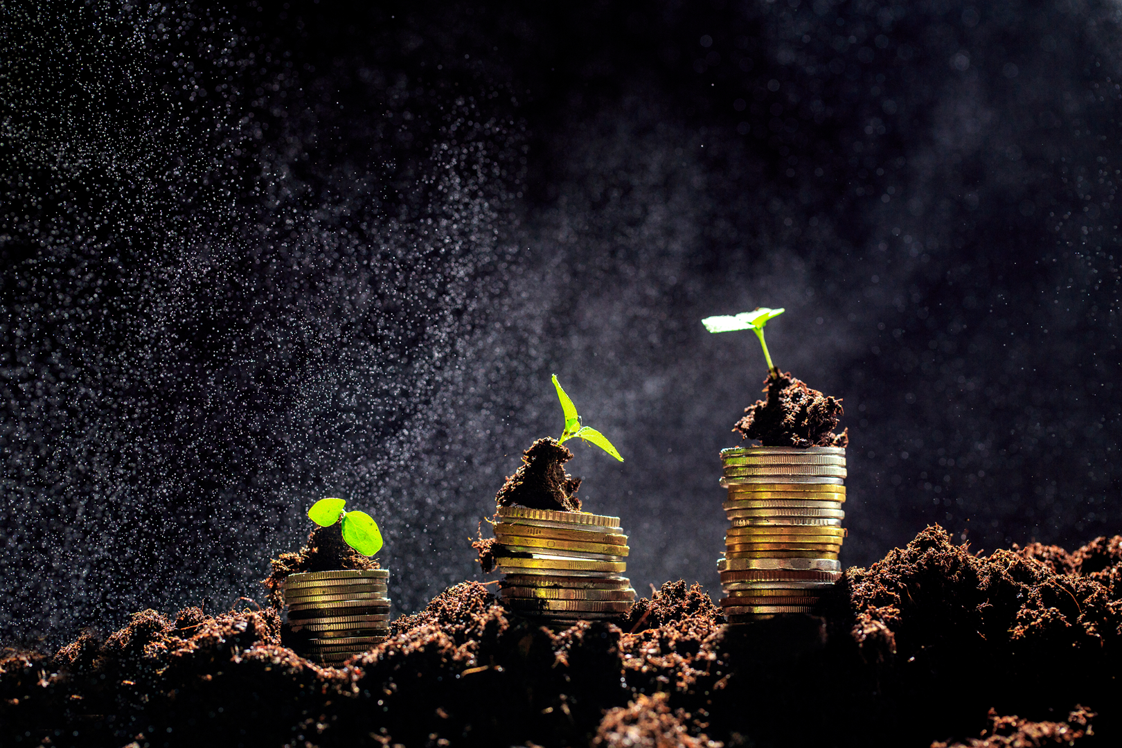 Global Financial Stability Report, October 2021 Chapter 3: Investment Funds: Fostering the Transition to a Green Economy