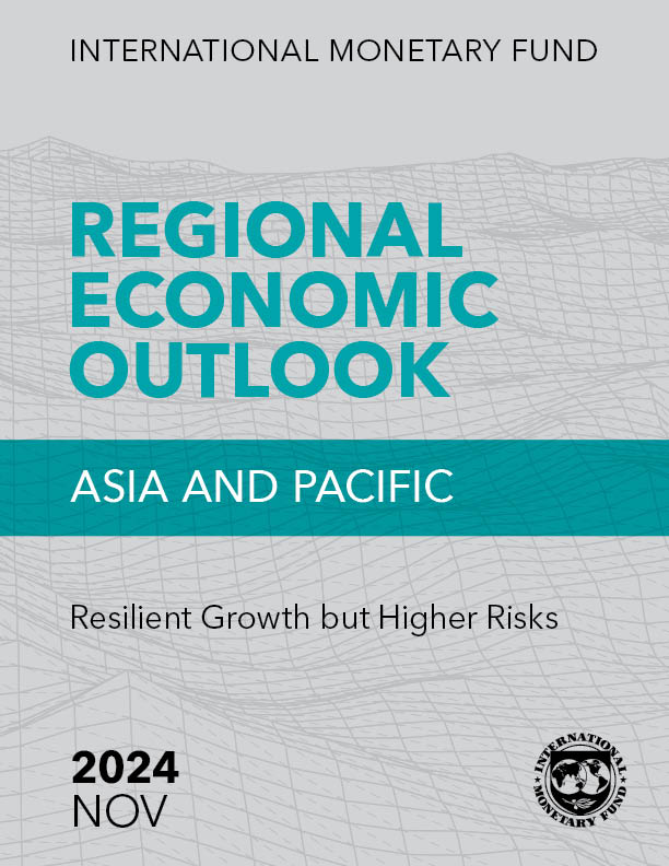 IMF APD REO November 2024 cover