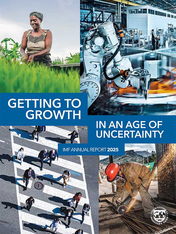 IMF Annual Report 2025