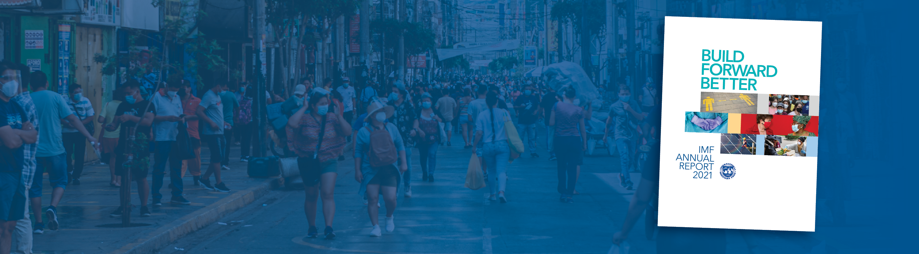 IMF Annual Report 2021