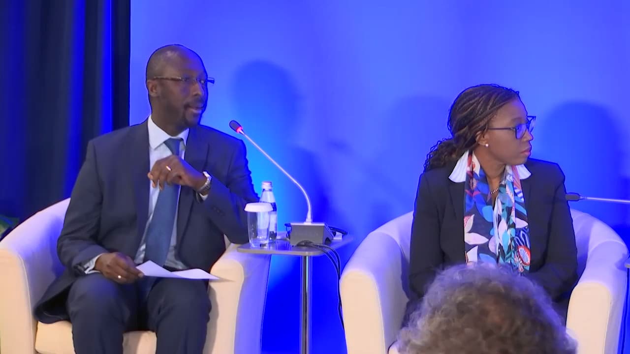 African Department Regional Economic Outlook Presentation